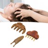 Sandalwood Meridian Comb Nose Massager Rosewood Scalp Massage Comb Set