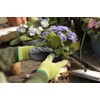 Spear & Jackson Kew Gardens Seeding & Weeding Gloves Small,