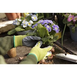 Spear & Jackson Kew Gardens Seeding & Weeding Gloves Small, Green