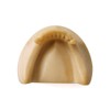 Easyinsmile Dental Lower Jaw Teeth Missing Demonstration Model & 8