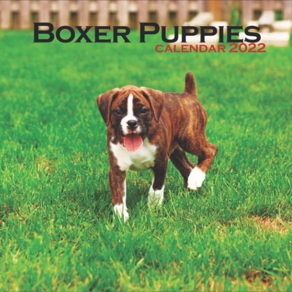 Boxer Puppies 2022 Calendar: 12 Months of High-Resolution Boxer Puppies