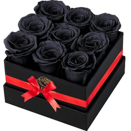 YFYS Forever Flowers for Delivery Prime - 9pcs Preserved Fresh Roses, Genuine Roses That Last for Years, for Birthday Gifts for Women, Valentines Day, and Mother's Day (Black)