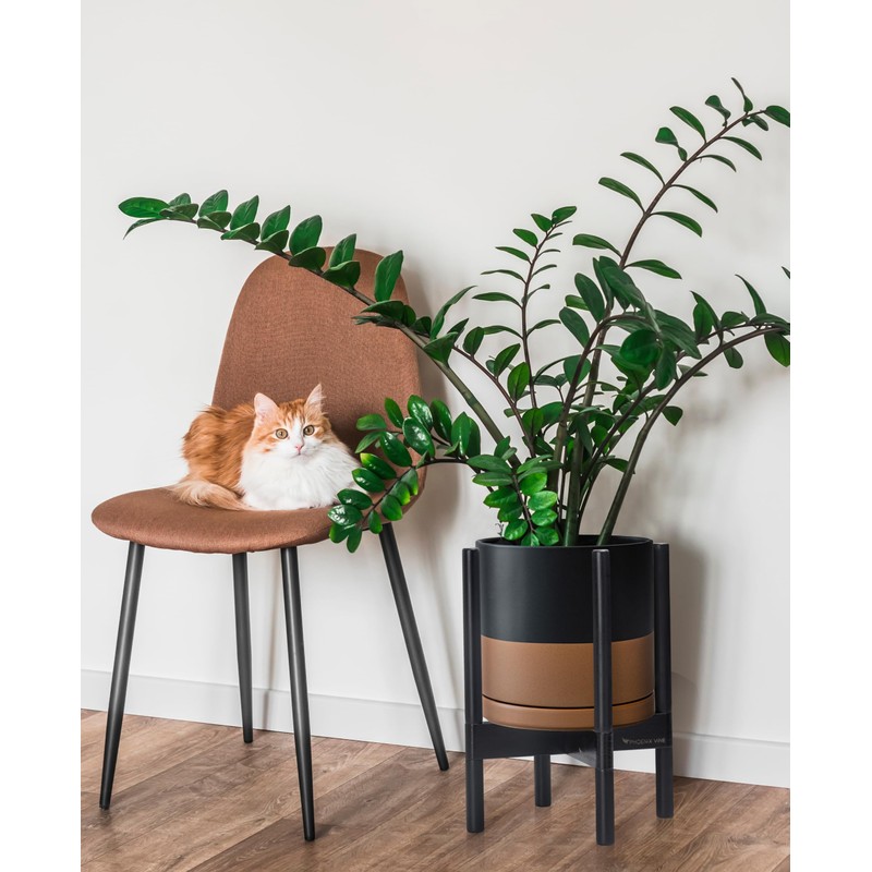 D'vine Dev Ceramic Planter with Ebony Stand - 10 Inch