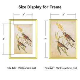 Fkvat 5x7-3P Picture Frame Matte Gold Brushed Thin Metal Float Photo Frame with HD Glass, Fit 4x6 with Mat or 5 x 7 without Mat, for Table and Wall, 3 Pack