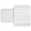 Spears 436 Series PVC Pipe Fitting, Adapter, Schedule 40, White,
