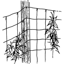 Luster Leaf 869 Vine and Veggie Trellis Net, Green, 5-Feet by 30-Feet
