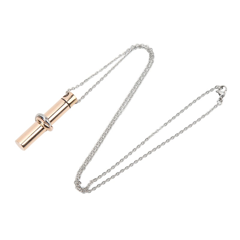 Ashes Necklace 316L Stainless Steel Oxidation Resistant Memorial Cremation Jewelry