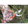 Tijera forjada para uso intensivo profesional con mangos perfilados. 28