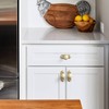 Goo-Ki 6 Pack Brushed Brass Cabinet Knobs with Backplate Zinc