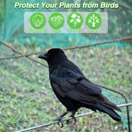 LINSOCLE Fine Mesh Bird Net, 10 x 4 m Tight Mesh Bird Protection Net for Cherry Tree, Strawberries, Berry Bushes, Fruit Tree Protection and Raised Beds - Lightweight, Sturdy Cover Net for Garden