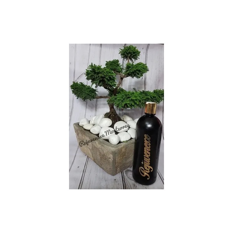 Nanoplastia Rejuvenexe 125ml