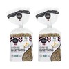 Sigdal Bakeri Everything Bagel Crispbread Pack of 2 Gluten Free