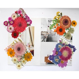 122PCS Large Nature Dried Pressed Flowers for Resin Mold, Real Dry Pressing Floral with Butterfly Transparent Stickers Set for DIY Jewelry Making Nail Card Scrapbook Art Craft Love Parade