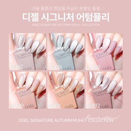 Diesel Signature Autumn Muhly 6-piece set magnetic gel / 디젤 시그니처 어텀뮬리 6종 세트 자석젤