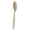 Compostable Spoons Eco Friendly Cutlery 6.5 inch - CPLA Heat