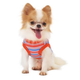 LOPHIPETS 100% Cotton Rib Dog Shirt Vest for Small Dogs Chihuahua Puppy Clothes Tank Tee-Red/L