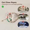 Speedy Panther Catnip Chew Rope Toys for Indoor Cats –