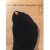 lampox Bamboo Socks (6 Pairs) Breathable Socks Business Sports Running