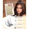 Spider Breeze Lash Clusters Kit Wispy Natural Eyelash Clusters DD