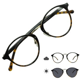 OTC.web 2304CH Dimming Round Boston Sunglasses, Stylish, UV Protection, Darkening Color, Combi Cell Round Glasses, B-BR Demi / GY Dimmer