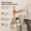 Toilet Safety Rail with Paper Holder & Storage Shelf, Bathroom