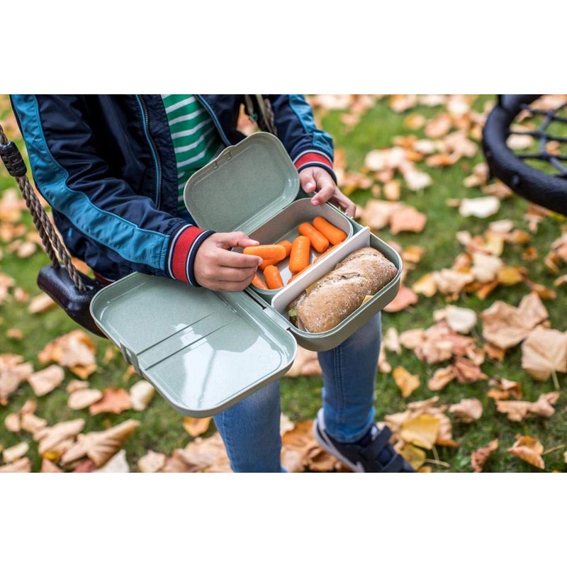 Koziol Lunch Box with Separator PASCAL L, organic grey 3152670