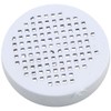 Pentair Check Valve Screen, Rainbow Bromine