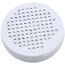 Pentair Check Valve Screen, Rainbow Bromine