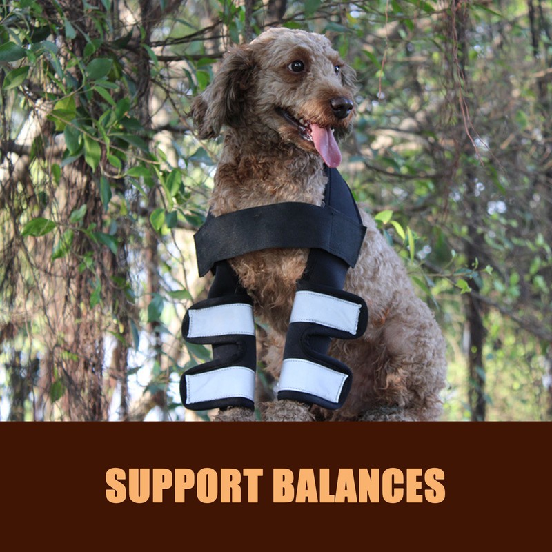 Pet Elbow Brace Surgical Joint Protection Recovery Dog Elbow Protector