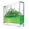 Monsterzeug Gel Greenhouse for Spices - Mini Plantarium for Herbs