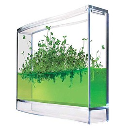 Monsterzeug Gel Greenhouse for Spices - Mini Plantarium for Herbs & Spices - To Plant Yourself - Small Experiment Set - Ecosystem