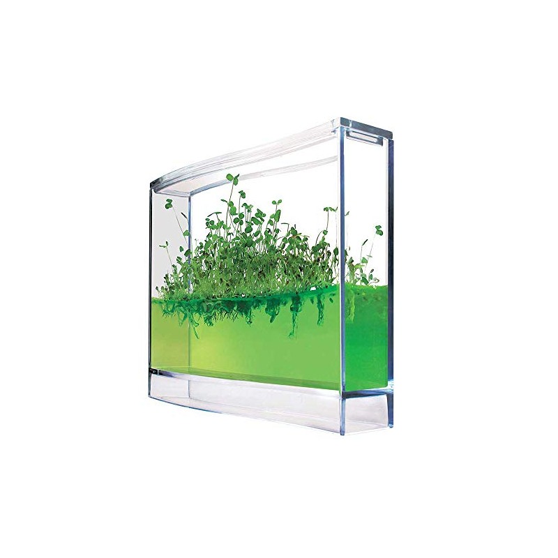 Monsterzeug Gel Greenhouse for Spices - Mini Plantarium for Herbs