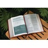 Rooted: The NIV Bible for Men, Leathersoft, Brown, Comfort Print