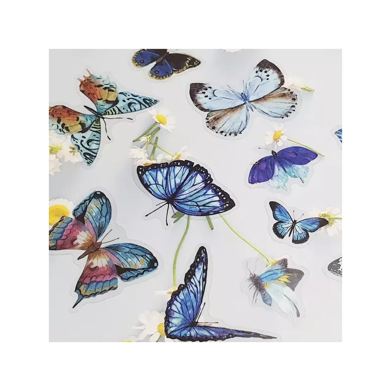 Blue Butterfly 나비 스티커 40P 세트 파란나비 Butterfly Sticker 40P