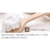 Art Brush Co. B000019 White Horse Hair Body Brush