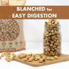Roastery Coast Dry Roasted Hazelnuts | 3 LB | Unsalted