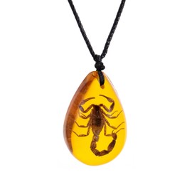 POYAMUSE Real Scorpion Pendant Necklace for Men and Women - Resin Bug Necklace, Scorpion Pendant Necklace - Amber Insect Necklace - Amber