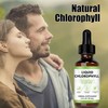 Chlorophyll Liquid Drops – Vegan Body Deodorant & Gut Health