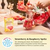 Twinings Raspberry & Strawberry 20 Tea Bags (Pack of 4)