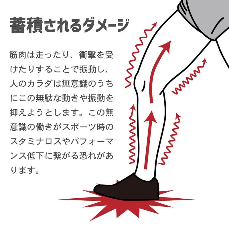 Activital Gator Socks, XL, Navy