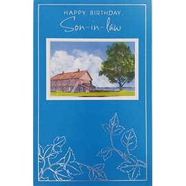 Happy Birthday Son-in-Law Greeting Card -"Wishing you many joys to discover, special memories to treasure, and new dreams to look forward to"