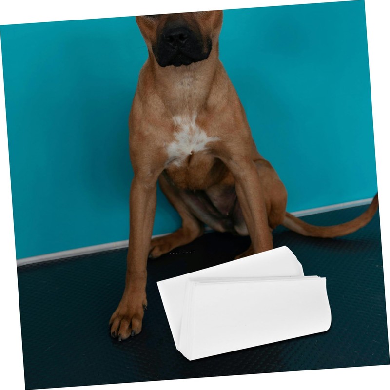 WOONEKY 50pcs Dog Pee Pads Absorbent Disposable Training Sheets for