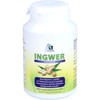 INGWER 500 mg Kapseln+Vitamin B1+C 90 St