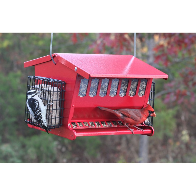 Audubon Seeds 'n More Metal Hopper Bird Feeder Model 7452R