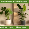 12 Pack Stackable Monstera Plant Support Stakes, Climbing Plants Support