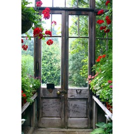 Baocicco 5x7ft Flower House Backdrop Greenhouse Backdrop Spring Backdrop Wedding Backdrop Glass Door Backdrop Spring Landscape Flower Backdrop Garden Backdrop Wedding Lover Couples Photo Props