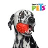 Fancy Pets Juguete d Pelota de Caucho Spiny para Perro