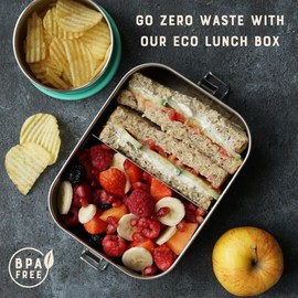 Moonmoon Stainless Steel Lunch Box (0.8 litres) | Metal Bento Lunch Box for Adults & Kids