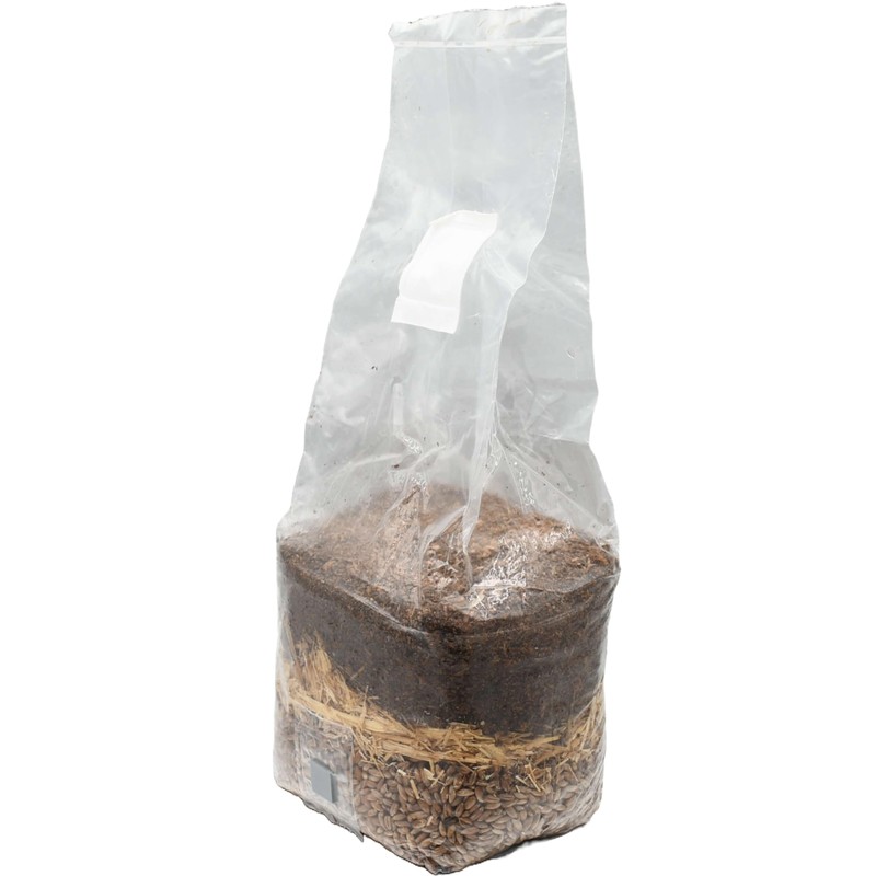 Wood-Based All-in-One Mushroom Grow Bag