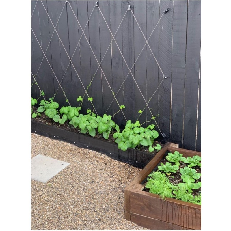 Espalar Surface Mounted Heavy Duty Universal Espalier/Trellis Kit for Climbing